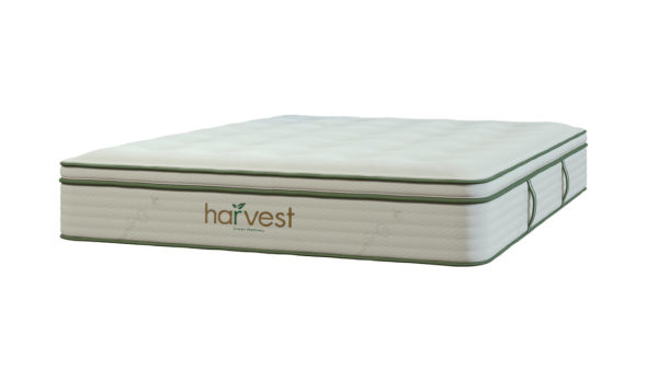 Harvest Green Pillow Top Mattress Queen Size
