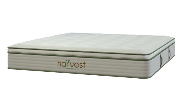 Harvest Vegan Pillow Top Mattress king size