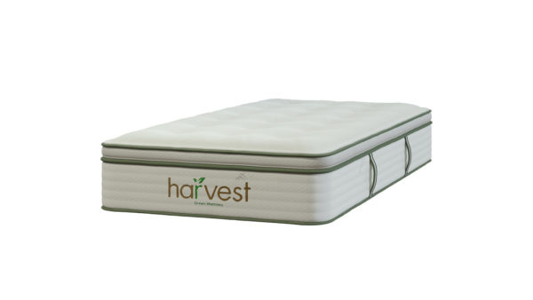 Harvest Vegan Pillow Top Mattress twin size