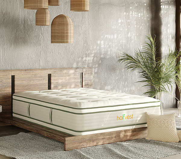Harvest Green Pillow Top Double-Sided Mattress in a modern bedroom